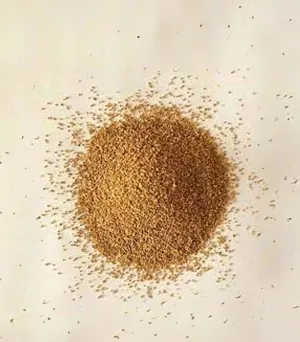 Coarse Apricot Abrasives (1.6mm-0.7mm)