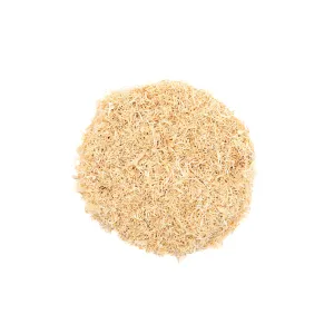 Luffa (Ground)